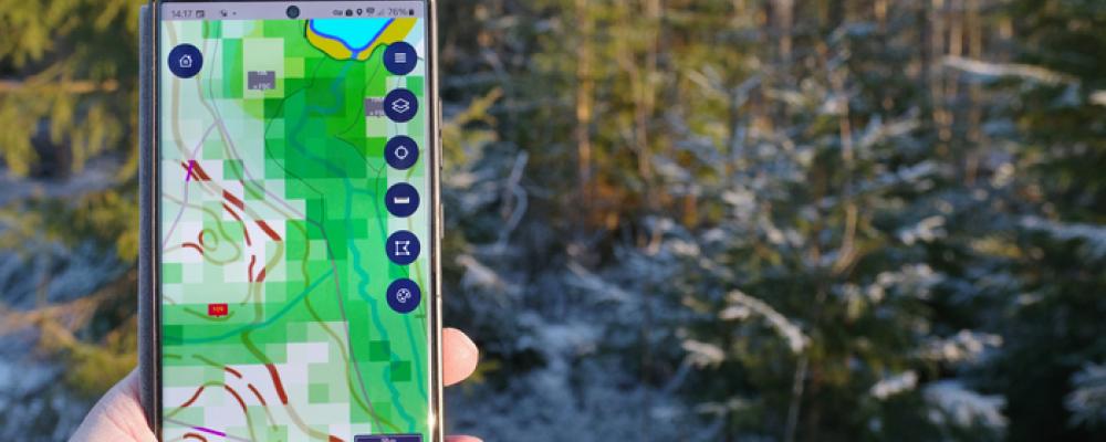 Naturvärdeskartan har tagits fram som stöd för planering av avverkning och skogsvårdsarbeten. Foto: Metsä Group
