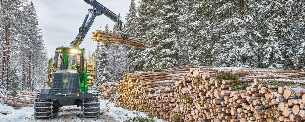 Ett ”utmanande marknadsläge" får Sveaskog att sänka virkespriserna för sina kunder. Foto: Sveaskog