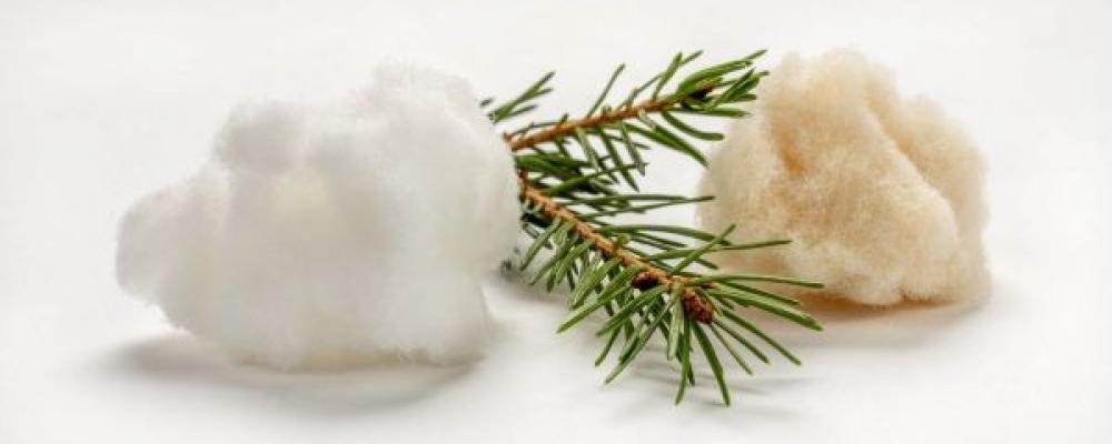 Efter kapacitetsökningen kommer Stora Ensos produktionsenhet i Skutskär att ha en årlig kapacitet på 440 000 ton fluffmassa. Bild: Stora Enso