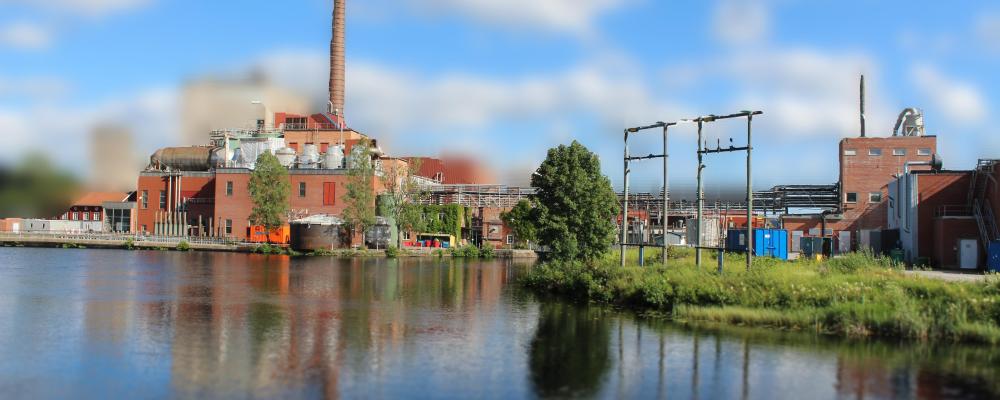 Rapporten lyfter fram de samhällsekonomiska kostnaderna av att ta skogsmark ur produktion. Hur Sverige väljer att implementera exempelvis naturrestaureringsförordningen kan ”få långtgående konsekvenser när det gäller sysselsättning, regional utveckling, export och skatteintäkter”, slår rapporten fast.