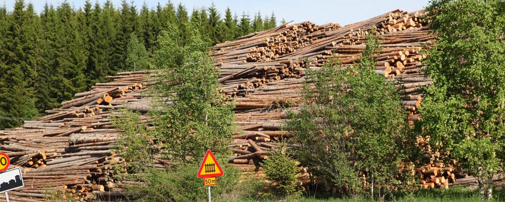 Så många som 25 av Sveriges totalt 45 pappers- och massabruk förlorar sin tilldelning av gratis utsläppsrätter.