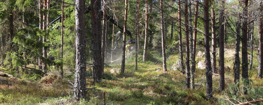 Bland utmaningarna märks begränsad tillförlitlighet i uppkoppling med drönaren, särskilt vid dåligt väder som hårda vindar och regn.
