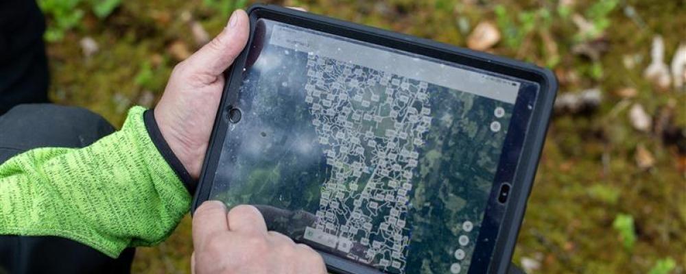 Skogsbruksplanen, som är ett verktyg i skogsägarens planering och beslutsfattande, har under flera decennier sett ungefär likadan ut, men kommer nu att ta ett "tekniksprång". Foto: Johanna Nilsson/Södra