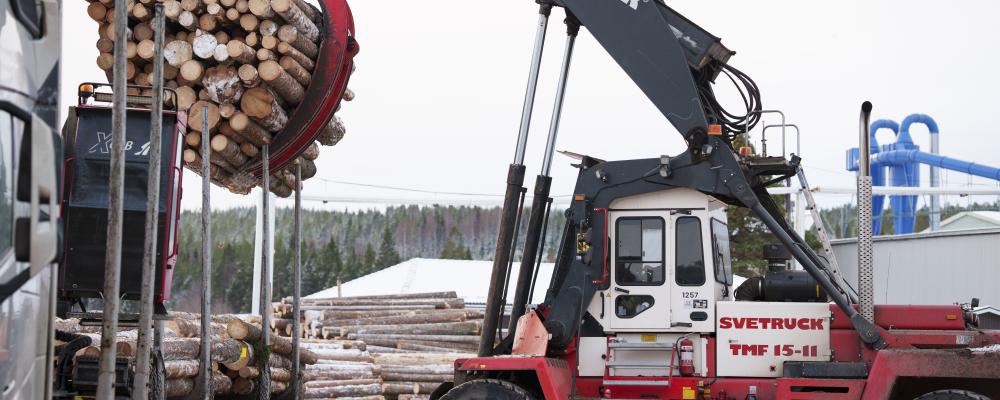 Foto: Victor Lundberg/Norra Timber