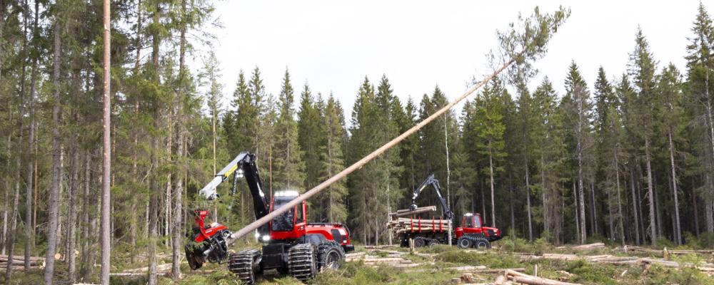 Malwa Forest tillverkar små och lätta skogsmaskiner anpassade för gallring och arbete i känsliga skogsmiljöer. Komatsu är en global industrikoncern med rötter i Japan och verksamhet inom bland annat bygg- och skogsutrustning. Foto: Komatsu