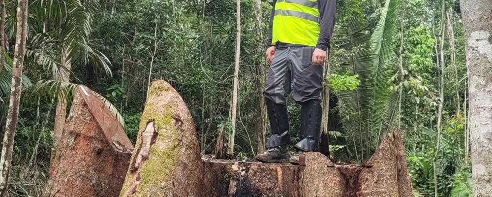 Näräkkä berättade om sina erfarenheter från en resa i Brasilien, där han deltog i ett internationellt styrelsemöte i São Paulo och därefter besökte regnskogsområden i västra delen av landet. Foto: Metsä Group