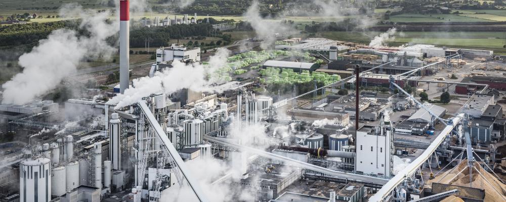 Vid Södra Cell Värö har flera piloförsök genomförts med havreskalen med ”mycket positiva resultat”, enligt Södra. Foto: Per Pixel/Södra