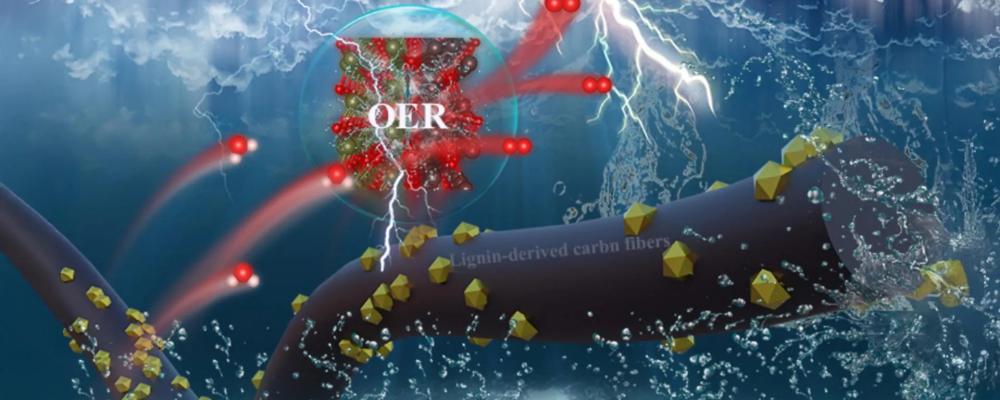 Kolfibrer framställda av lignin, laddade med NiO/Fe3O4 för att främja syrgasutvecklingsreaktionen. Foto: Xuezhi Zeng, Yutao Pan, Yi Qi, Yanlin Qin och Xueqing Qiu.