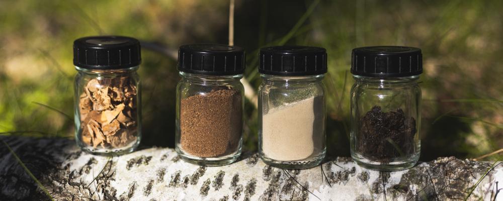 Björkbark är en högvolymrestprodukt från skogsbruket, enligt Reselo. Foto: Nokian Tyres