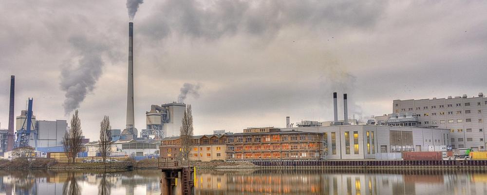 Sågverk. Symbolbild. Foto: Creative Commons Lic.