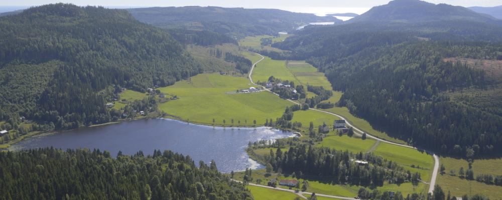 Hittills i år har avverkgningsanmälningarna minskat med 2 procent.