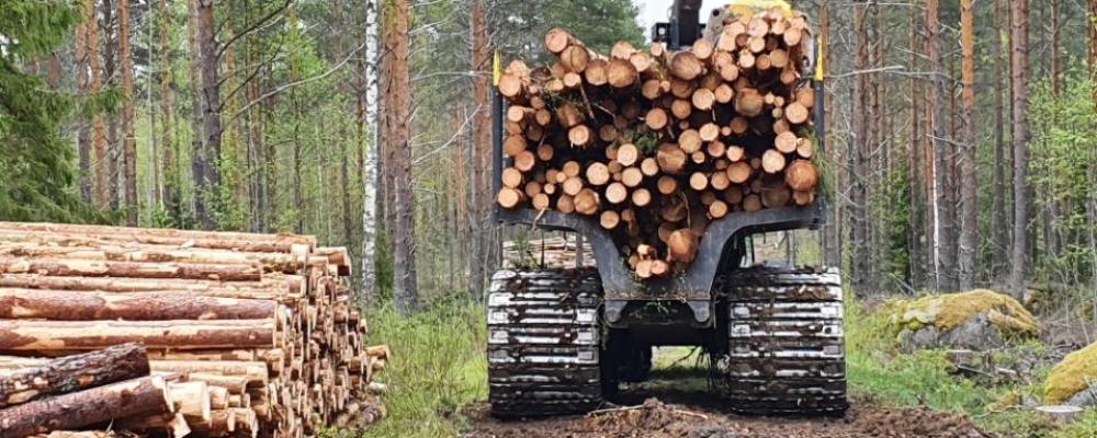 Skogsverkning i Finland, symbolbild. Foto: Metsätyö