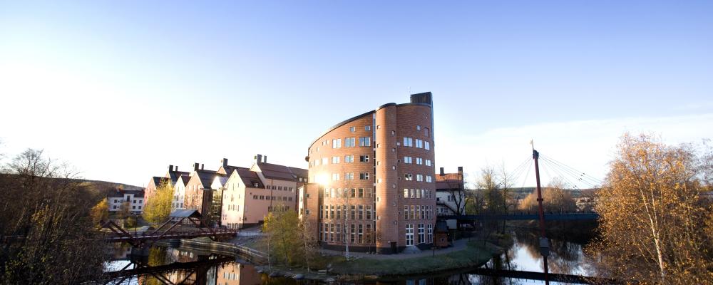 Mittuniversitetet och forskningscentret FSCN är värdar för EPNOE 2025. Fotograf: Sandra Pettersson