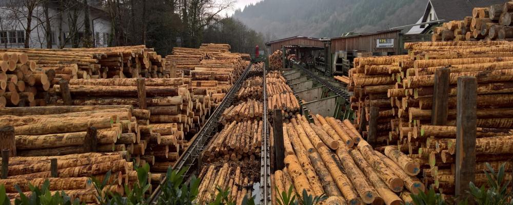 Det är andra gången i år som Mellanskog justerar ned priserna. Senast skedde en sänkning i februari. Sedan hösten 2025 har bolaget därmed sänkt virkespriserna vid fem tillfällen. Symbolfoto: Creative Commons Lic, Kredit NCornwall
