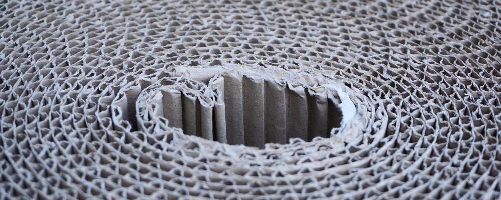 Överkapacitet inom skogsindustrin innebär att produktionen överstiger efterfrågan, vilket pressar priser och lönsamhet. Samtidigt påverkas sektorn starkt av energikostnader och handelspolitik, vilket gör förpackningsmarknaden särskilt känslig för globala förändringar. Foto: Creative Commons Lic. Kredit: Webandi