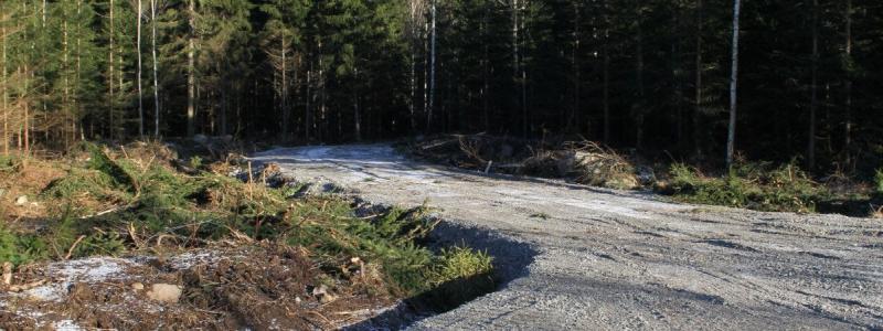 Foto: Södra