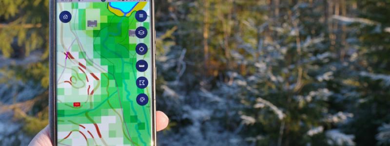 Naturvärdeskartan har tagits fram som stöd för planering av avverkning och skogsvårdsarbeten. Foto: Metsä Group