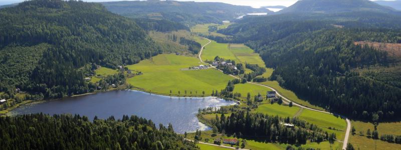 Foto: Södra