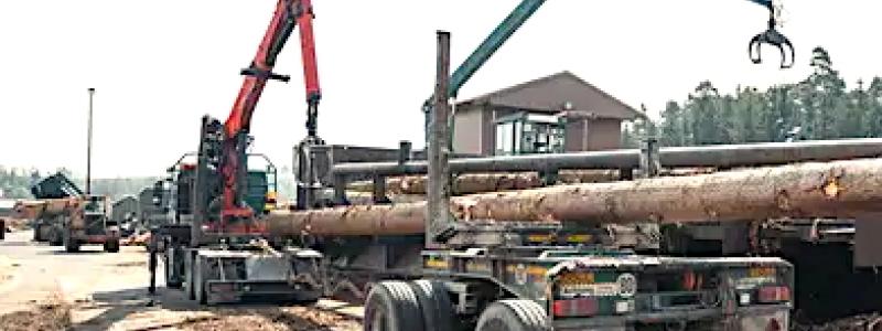 Sågverk Ziegler i södra Tyskland. Foto: Sägewerk Ziegler