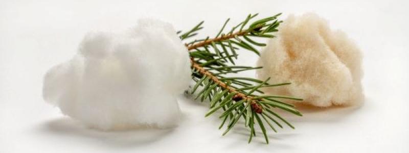Efter kapacitetsökningen kommer Stora Ensos produktionsenhet i Skutskär att ha en årlig kapacitet på 440 000 ton fluffmassa. Bild: Stora Enso