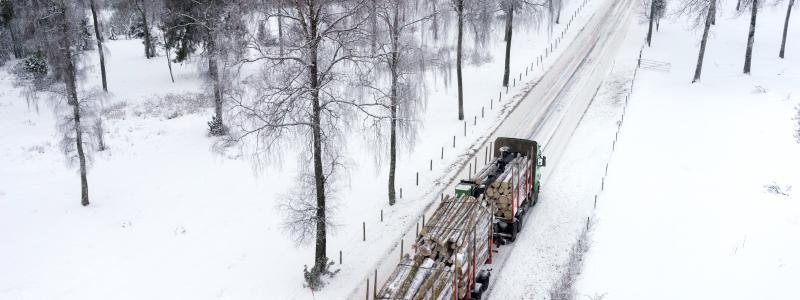 Prishöjningen gäller normaltimmer och klena sågbara sortiment av gran och tall. Foto: Anders Andersson/Södra