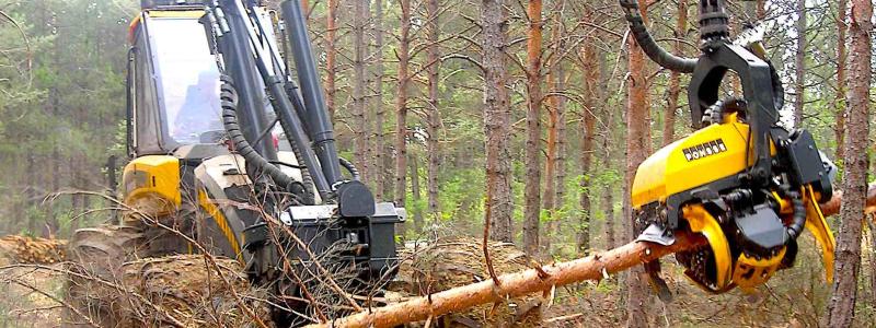 Ponsse processor utför gallringsarbete. Foto: Wikipedia Common, kredit: GuardabosqueS