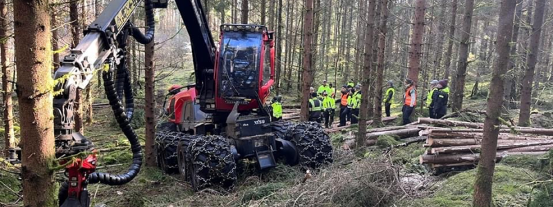 Enligt Södra ger förarstödet ”revolutionerande möjligheter för lokala anpassningar i skogen”, vilket gör det enklare att utföra skogsskötseln korrekt och därmed främja tillväxt och ökad lönsamhet. Foto: NFA