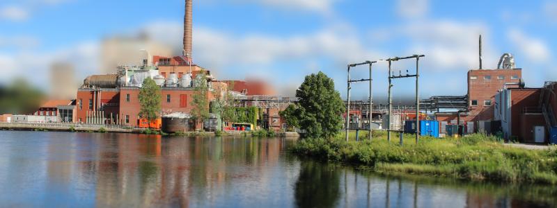 Rapporten lyfter fram de samhällsekonomiska kostnaderna av att ta skogsmark ur produktion. Hur Sverige väljer att implementera exempelvis naturrestaureringsförordningen kan ”få långtgående konsekvenser när det gäller sysselsättning, regional utveckling, export och skatteintäkter”, slår rapporten fast.