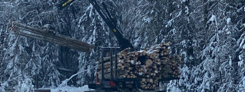Foto: Thomas Persson/SCA