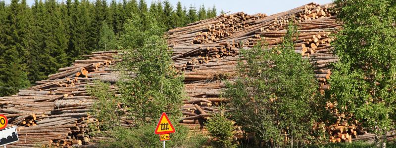 Johan Nilsson/TT: Renewcell sysslar med klädåtervinning. Arkivbild.