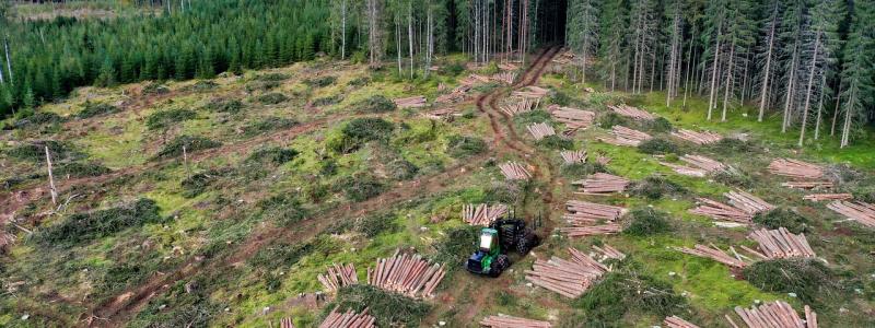 Finlands skogsindustri har på senare år stått inför flera utmaningar, bland annat högre råvarupriser och minskad efterfrågan på vissa produkter. Trots detta har branschen lyckats upprätthålla en relativt stabil lönsamhet, framför allt genom effektivisering och diversifiering av produktionen. Foto: Creative Commons Lic.  Kredit: reijotelaranta