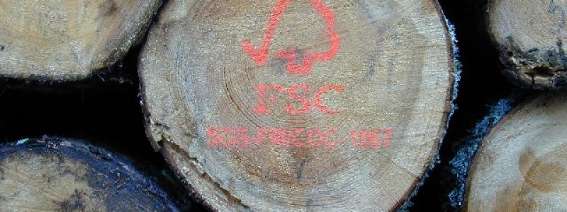 Foto: Gerhard Elsner