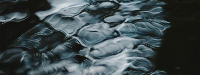 Derome Timber AB yrkar att tillståndet ska få tas i anspråk omedelbart även om det överklagas. Foto: niranjan/Unsplash