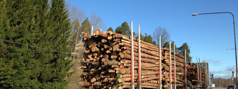 ”En central del av vårt arbete på klimatområdet är substitution – att ersätta fossila material och energikällor med förnybara alternativ från våra skogar”, skriver SCA i ett pressmeddelande. Arkivbild.