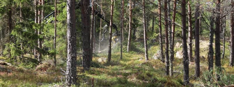 Bland utmaningarna märks begränsad tillförlitlighet i uppkoppling med drönaren, särskilt vid dåligt väder som hårda vindar och regn.