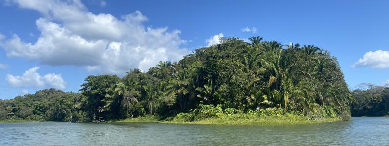 I Colombia pågår FN:s globala klimatmöte COP16, som handlar om att främja den biologiska mångfalden. Foto: Simon Matthis