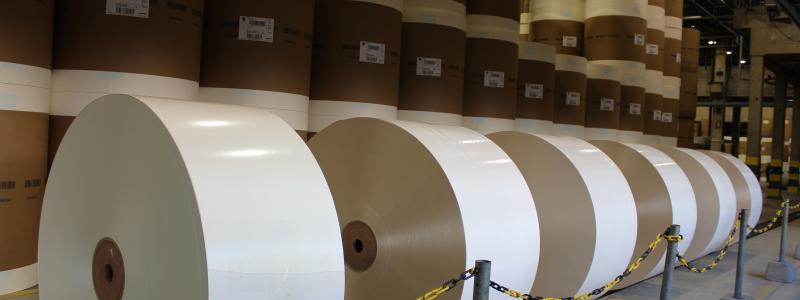 Bruket i Tasmanien har en produktionskapacitet på 150 000 ton tidningspapper och 135 000 ton LWC-papper. Arkivbild.