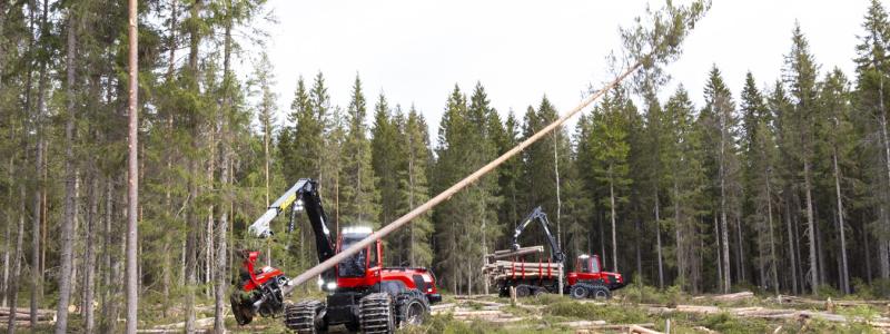 Malwa Forest tillverkar små och lätta skogsmaskiner anpassade för gallring och arbete i känsliga skogsmiljöer. Komatsu är en global industrikoncern med rötter i Japan och verksamhet inom bland annat bygg- och skogsutrustning. Foto: Komatsu