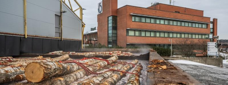 Det ser bättre ut för Finlands sågverkssektor just nu. Bilden visar Koskisens sågverk och huvudkontor i Finland. Foto: Koskisen Oyj