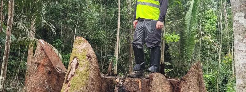 Näräkkä berättade om sina erfarenheter från en resa i Brasilien, där han deltog i ett internationellt styrelsemöte i São Paulo och därefter besökte regnskogsområden i västra delen av landet. Foto: Metsä Group