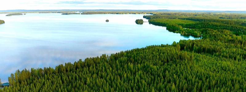 Foto: Metsä Board