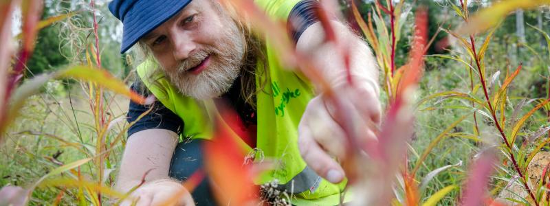 Foto: Metsä Group