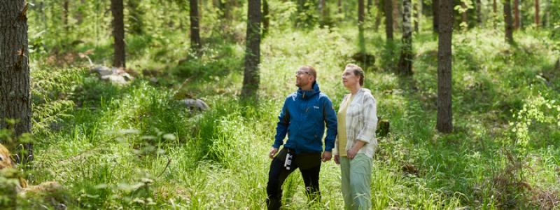 Foto: Nostokuvat/Metsä Group