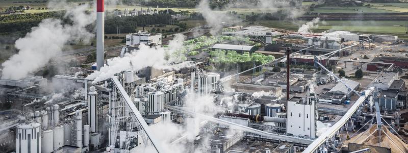 Vid Södra Cell Värö har flera piloförsök genomförts med havreskalen med ”mycket positiva resultat”, enligt Södra. Foto: Per Pixel/Södra