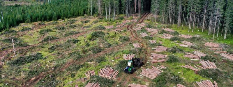 Rotpostintäkterna är en central del av den finländska skogsnäringens värdekedja, som direkt och indirekt sysselsätter omkring 80 000 personer. Foto: Creative Commons Lic. Kredit: Reijo Telaranta