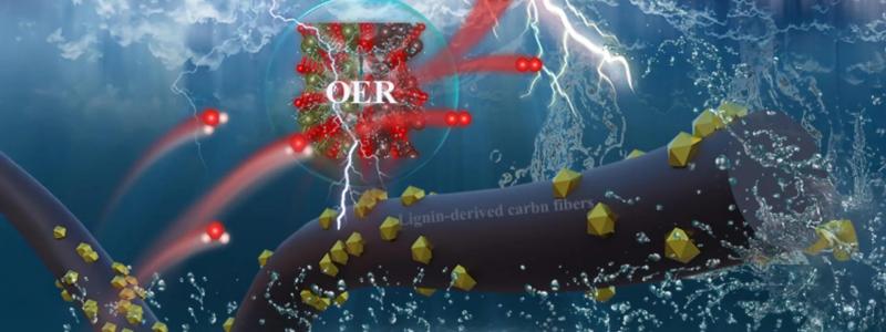Kolfibrer framställda av lignin, laddade med NiO/Fe3O4 för att främja syrgasutvecklingsreaktionen. Foto: Xuezhi Zeng, Yutao Pan, Yi Qi, Yanlin Qin och Xueqing Qiu.
