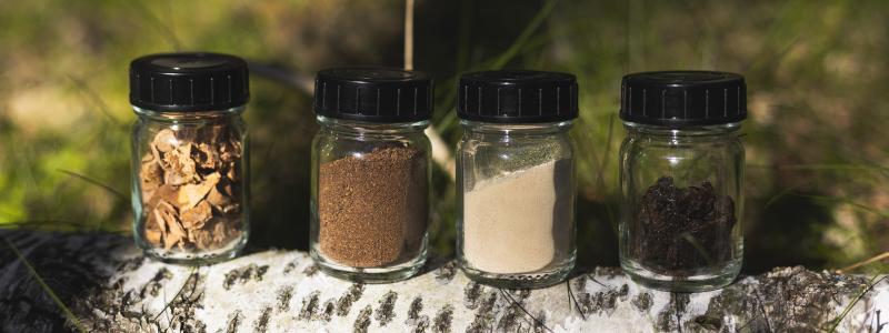 Björkbark är en högvolymrestprodukt från skogsbruket, enligt Reselo. Foto: Nokian Tyres