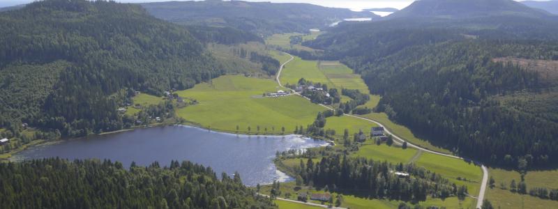Hittills i år har avverkgningsanmälningarna minskat med 2 procent.