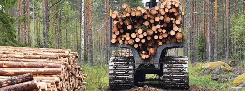 Skogsverkning i Finland, symbolbild. Foto: Metsätyö