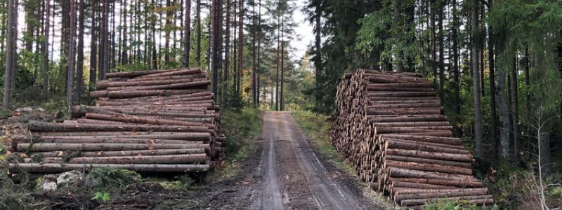 Foto: Skogsstyrelsen
